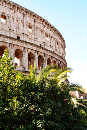 Colosseum view with green plants surrounding the ancient structure in Rome