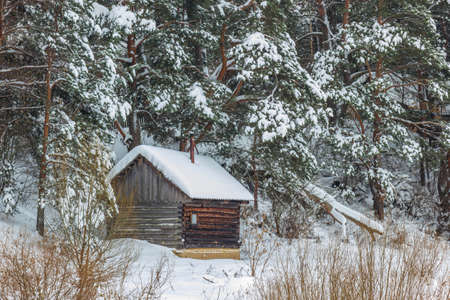 Country sauna in the snow.Winter. Bath in the snow, among the trees.の写真素材