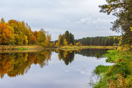 Autumn. On the river Mologa.の写真素材