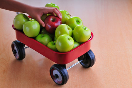 Harvested apples in a little red wagonの写真素材