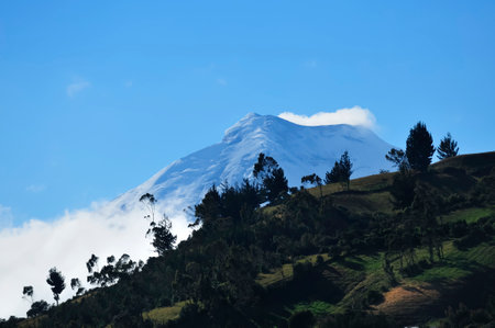 A stunning view of the Cotopaxi Volcano, with its snow-capped summit emerging above a hill covered in vegetation and trees. The image captures the grandeur of Andean nature under a clear blue sky, with some low clouds adding depth to the scene.の写真素材