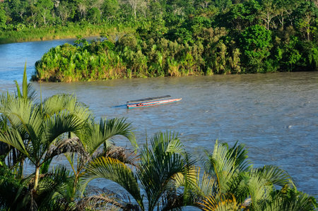 An elevated, panoramic view of the Napo River in the Ecuadorian Amazon, with a motorized canoe gliding over its waters. Daylight illuminates the river and the densely wooded shoreline, evoking the tranquility and natural beauty of the Amazon region.の写真素材