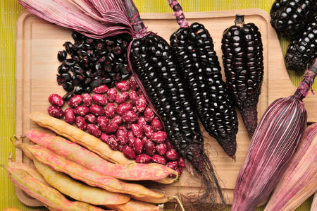 Purple corn cobs with their distinctive leaves, accompanied by dried red beans and their pods on a wooden cutting board, evoking the agricultural richness and culinary tradition of the Andean region of South America.の写真素材