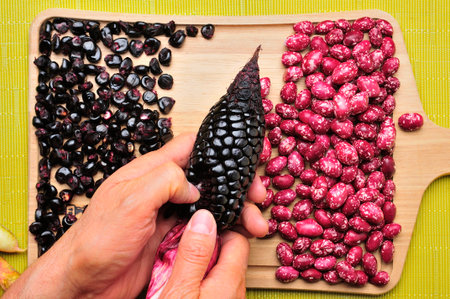A close-up view of hands shelling an ear of purple corn, with the kernels separated on a wooden board next to a pile of speckled red beans. The image highlights the beauty and richness of Andean and Latin American ingredients.の写真素材