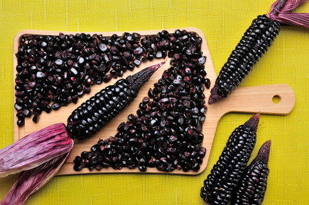 A vibrant overhead view of purple corn cobs (black corn) and shelled kernels, arranged on a light-colored wooden board. The image suggests freshness, health, and authentic Andean cuisine.の写真素材