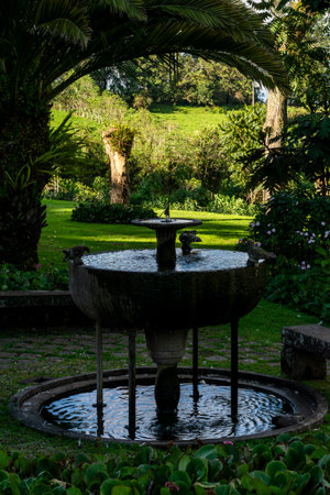 An ancient stone fountain in an Andean garden in the Ecuadorian Sierraの写真素材