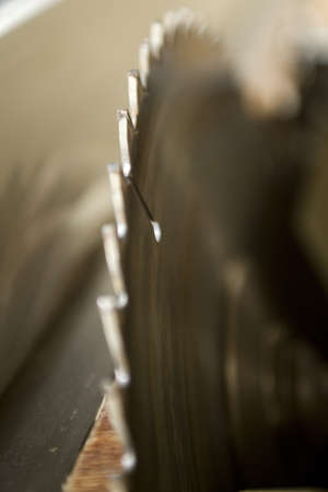 Sega circolareの写真素材