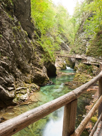 Walking in the gorge of Vintgar in Sloveniaの写真素材