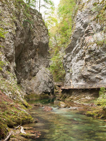 Walking in the gorge of Vintgar in Sloveniaの写真素材