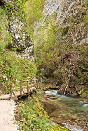 Walking in the gorge of Vintgar in Sloveniaの写真素材