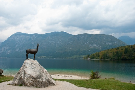 detail of the bohinj lake in sloveniaの写真素材