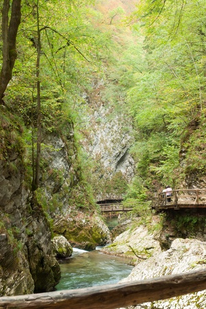 Walking in the gorge of Vintgar in Sloveniaの写真素材