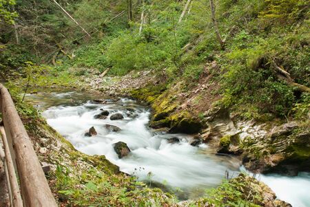 Walking in the gorge of Vintgar in Sloveniaの写真素材