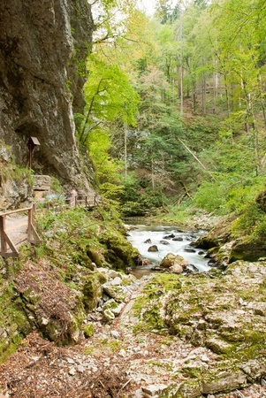 Walking in the gorge of Vintgar in Sloveniaの写真素材