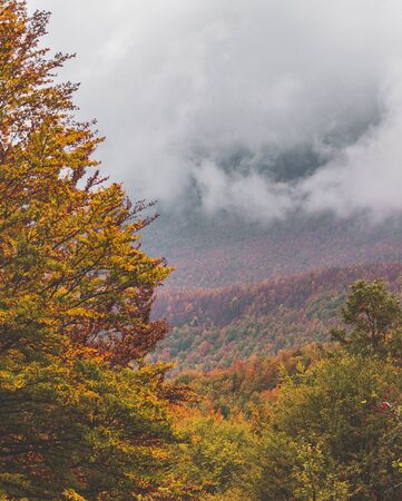 Autumn in Pollino National Park (Basilicata - Italy)の写真素材