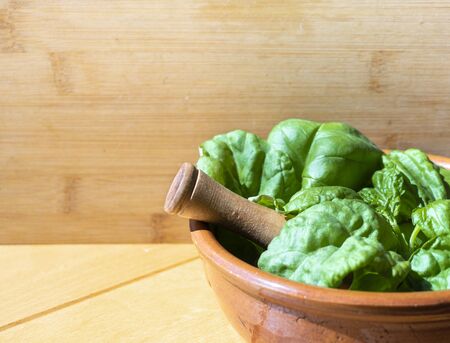 Fresh basil with mortar in a ceramic cup with wooden backgroundの写真素材