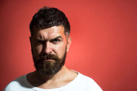 Stylish bearded man serious looking in camera. Handsome hipster with trendy hairstyle, beard and mustache on red background. Fashion portrait of bearded man. Copy space for advertising, text or sloganの写真素材