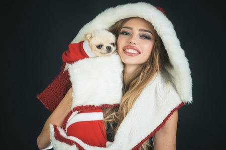 New year girl. Beautiful girl hugging little dog. Sultry pretty woman wearing Santa hat and white gloves. Isolated on black background.の写真素材