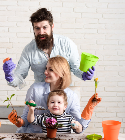 Planting flower. Gardening. Planting. Parents with son planting flower in flowerpot. Boy helps parents. Horticulture. Fruit-growing. Family portrait. Planting flowers. Gardening tools. Garden party.の写真素材