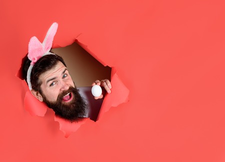 Smiling man holds egg looking through paper. Easter hunt. Breaking paper. Bearded man through hole in paper holds egg. Easter Sale. Discount. Season sales. Copy space for advertising, text or slogan.の写真素材