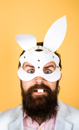 Spring holiday. Egg hunt. Easter bunny costume. Easter concept. Surprised bearded man in bunny mask. Man in bunny mask.の写真素材