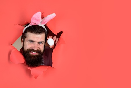 Bearded man through hole in paper holds egg. Smiling man holds egg looking through paper. Easter hunt. Breaking paper. Easter Sale. Discount. Season sales. Copy space for advertising, text or slogan.の写真素材