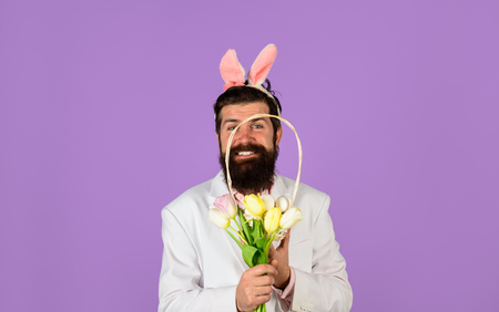 Happy Easter. Preparation for Easter. Spring holiday. Spring flower. Easter bunny costume. Easter celebration concept. Bearded man in suit holds basket with eggs. Rabbit man in bunny ears with flower.の写真素材