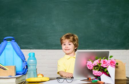 Back to school. Smiling boy working with laptop. Homework. Lessons. School subjects. Science....