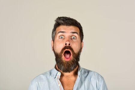 Astonished man with long beard&mustache. Fashionable bearded male portrait. Surprised bearded man in casual clothes.の写真素材