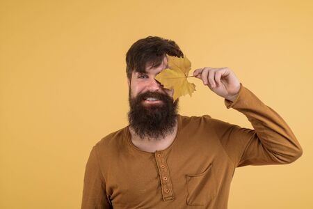 Autumn mood. Smiling man covered eyes with autumn leaf. Autumn time. Happy bearded man with yellow leaves in hand. Seasonal fashion. Autumn clothing. Men fashion. Leaf fall. Male with golden leafの写真素材