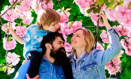 Happy family in spring garden. Mother, father and son at blooming sakura park.
