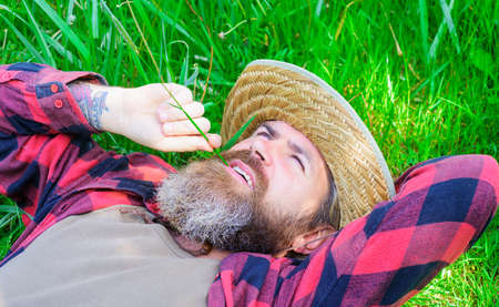 Enjoying sunny day. Happy Bearded man relaxing on green grass outdoors in summer.の写真素材