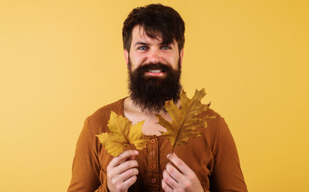 bearded man with yellow leaves. Seasonal autumn fashion. Autumn mood. Sale and discountの写真素材