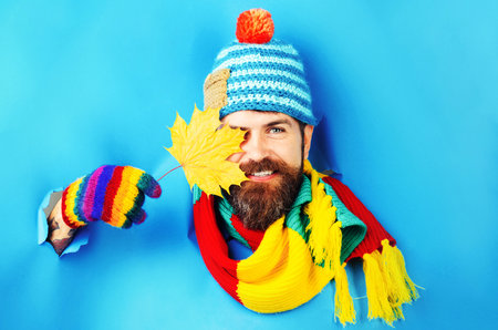 Smiling bearded man in knitted hat, scarf and gloves covered eye with autumn maple yellow leafの写真素材