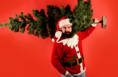 Santa Claus carrying christmas tree. Happy new year. Winter holidays celebrationの写真素材