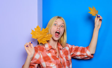 Surprised blonde girl with maple leaves. Autumn woman fashion. Smiling woman playing with leavesの写真素材