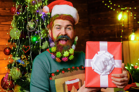 Bearded man in santa hat with decorated beard for New Year holiday holds Christmas gift present boxの写真素材