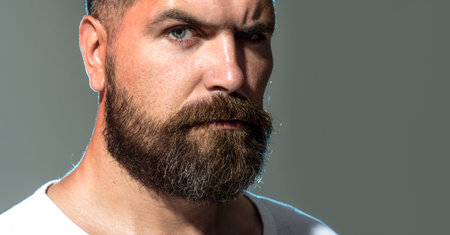 Closeup portrait of bearded man. Serious fashion male model. Handsome man with stylish beard and...