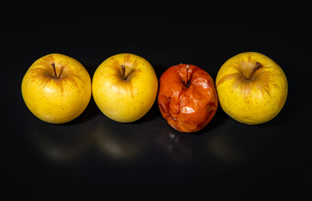 Rotten apple and fresh apple. Freshness vs decay. Food waste awareness. Quality control inspection....