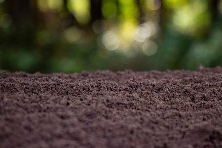 Soil texture with green nature bokeh background. Soil surface. Ground for farm. Soil and humus...