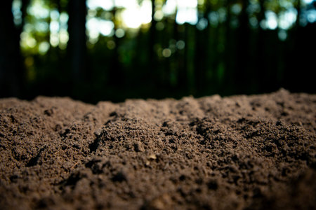 Soil and organic fertilizer concept. Farming with soil. Earth care and melioration. Cultivate land. Compost fertility. Organic fertilizer. Natural fertile soil. Growth and cultivation melioration.の写真素材