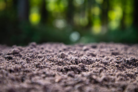 Soil texture with green nature bokeh background. Soil surface. Ground for farm. Fertile soil and humus. Closeup of dirt and clay in farm field. Soil for planting. Cultivated land.の写真素材