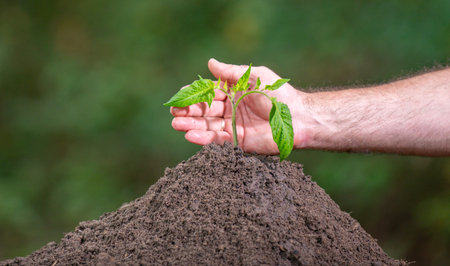 Plant in soil environment. Environment care with hands and plant in soil. Farming growth by hands and soil. Planting hands and soil. Environment care. Eco care supports sustainable environment.の写真素材