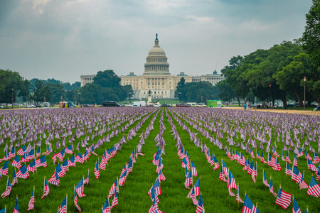 American flags near United States Capitol. Memorial Day with US flags in Washington DC. Remembrance...
