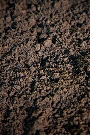 Humus and earth ground. Farming concept with soil and farm ground. Agricultural field cultivated land. Soil for planting and farming.の写真素材