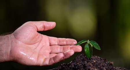 Hands place plant into soil environment base. Hands hold plant for soil environment stability. Hands...