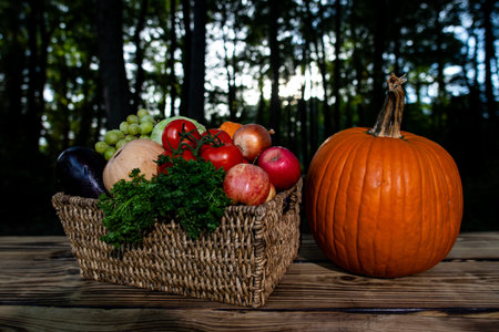 Harvest season. Fresh vegetables harvested from the eco farm. Basket full of raw harvest vegetables. Harvesting for healthy meals. Autumn harvest. Fresh eco harvest. Natural farm cultivation.