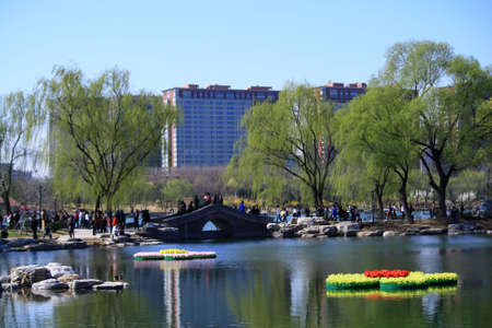 Lakeside Spring Greenの写真素材