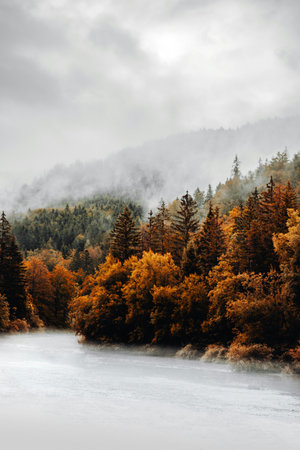 Foggy autumn landscape with mountain river and conifer forest.