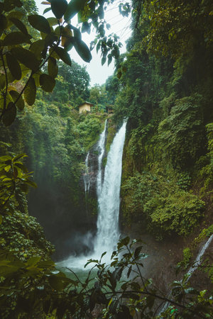 Waterfall in the jungle of Bali island, Indonesia, Asiaの写真素材